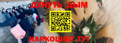 Альфа ПВП Жуковский