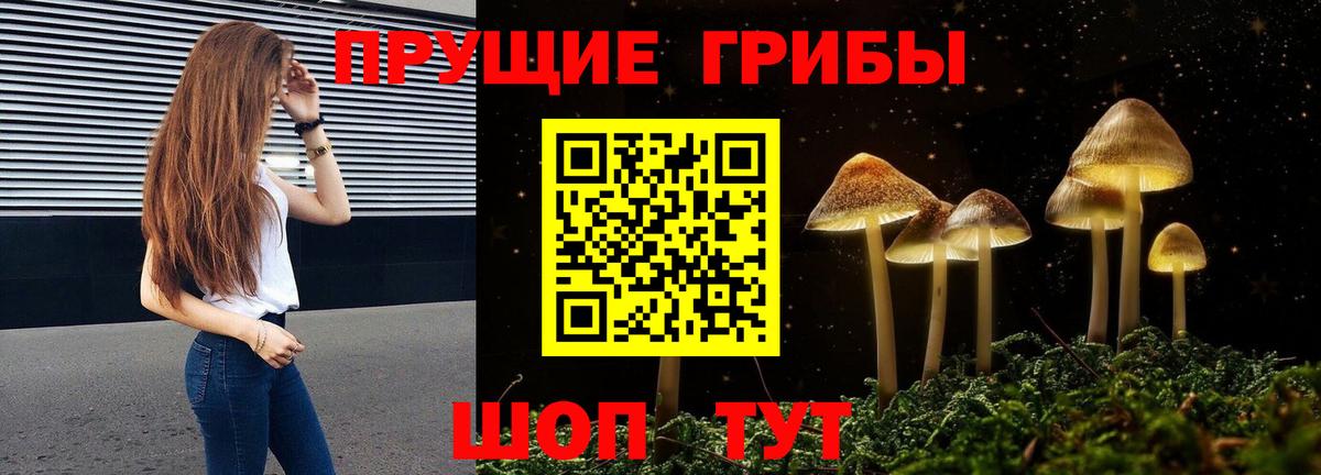 Галлюциногенные грибы GOLDEN TEACHER Лянтор