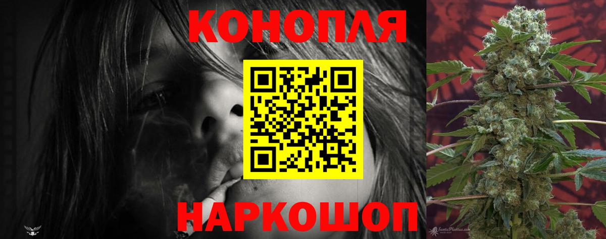 Шишки марихуана OG Kush  Вход с VPN  Шишки марихуана конопля  Лянтор  Бошки Шишки план  Канабис THC 21% 